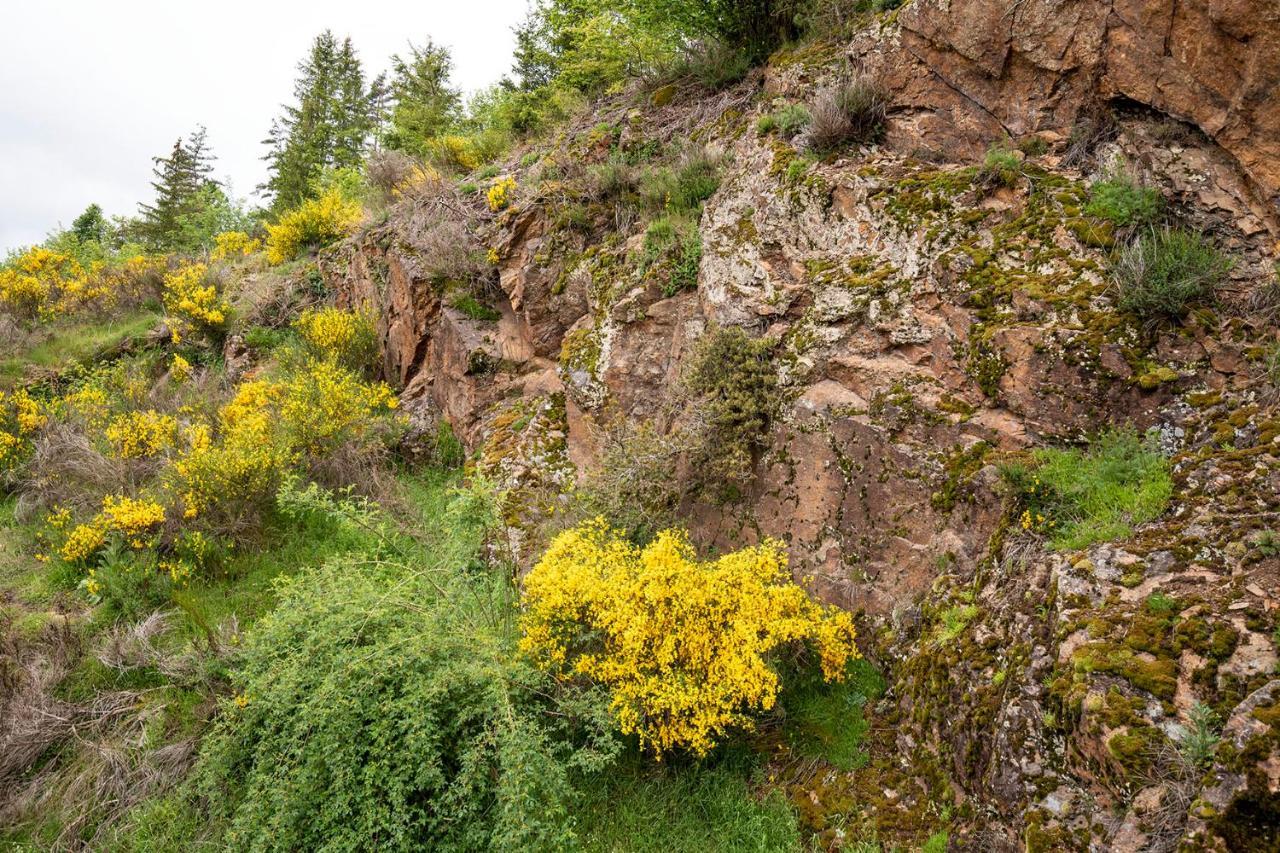 Moulin Des Comtes - Chambre Les Rochers Viverols 외부 사진